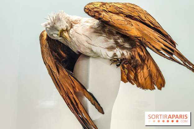 1997 Fashion Big Bang : l'exposition détonante du Palais Galliera - IMG20230303102448