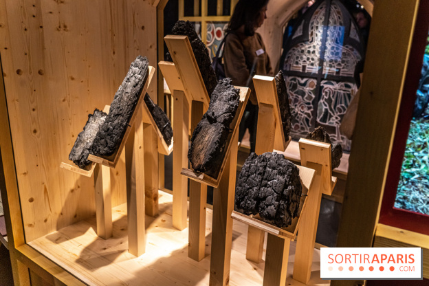 Exposition Notre-Dame de Paris : au cœur du chantier