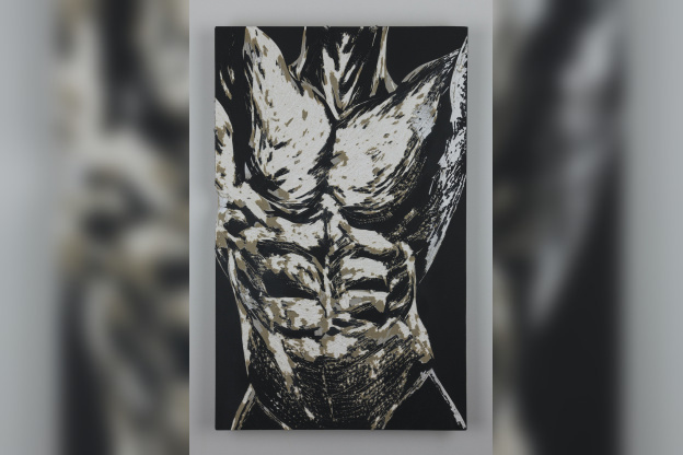 Trouble, l'exposition intriguante au Patronage Laïque Jules Vallès ! - REN Han