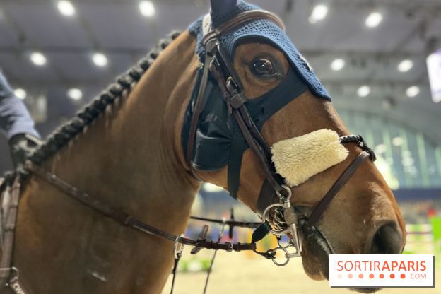 cheval - Saut Hermès - IMG 0975