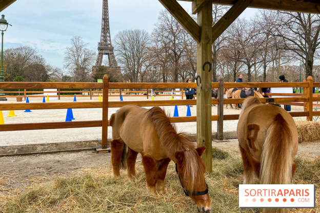 Saut Hermès - image00004