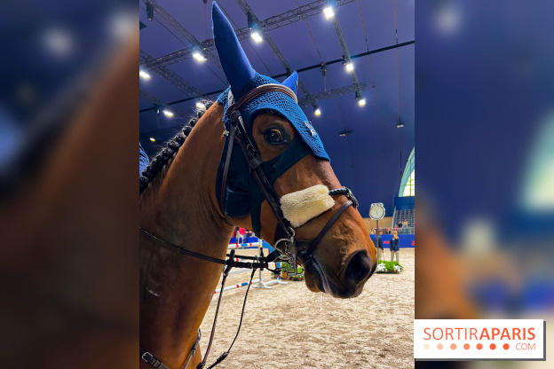 Saut Hermès - image00011