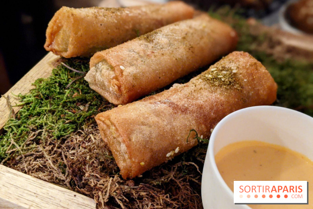 Qasti - Rouleaux halloumi