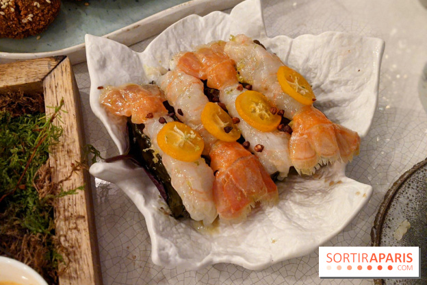 Qasti - Langoustines