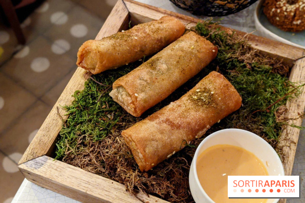 Qasti - Rouleaux halloumi