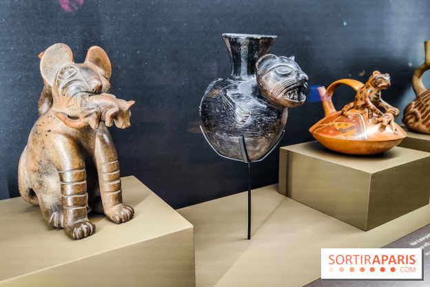 Félins, l'exposition qui nous fait craquer au Muséum national d'Histoire naturelle - photos - IMG20230321104449