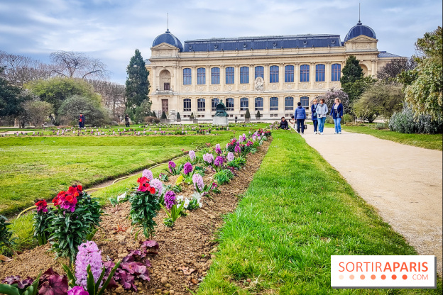 Félins, l'exposition qui nous fait craquer au Muséum national d'Histoire naturelle - photos - IMG20230321111256