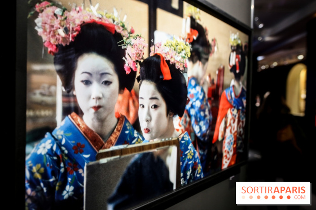 Elliott Erwitt, l'expo au Musée Maillol, nos photos - IMG 8901