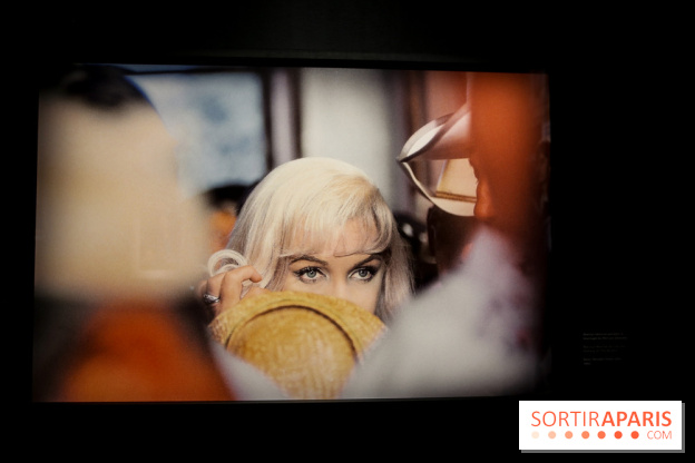 Elliott Erwitt, l'expo au Musée Maillol, nos photos - IMG 8908