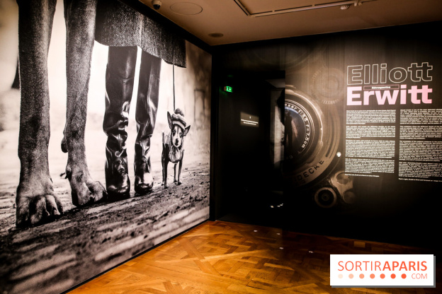 Elliott Erwitt, l'expo au Musée Maillol, nos photos - IMG 8912