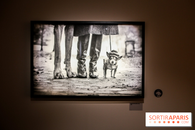 Elliott Erwitt, l'expo au Musée Maillol, nos photos