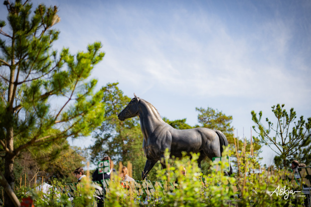 Les journées des plantes & Art  - journes des plantes  fontainebleau 2025 i samedi 29 mars 2025 54426902084 o