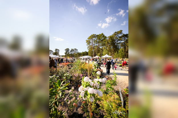 Les journées des plantes & Art  - journes des plantes  fontainebleau 2025 i samedi 29 mars 2025 54426954633 o