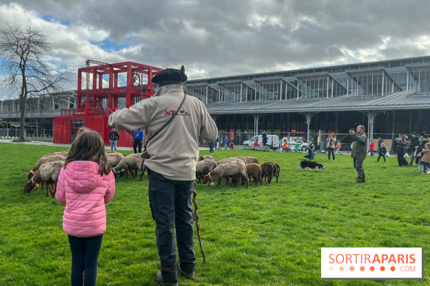 Transhumance à la Villette - CE1F1B78 657D 4D9B 8C5A FA4919382939