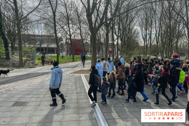 Transhumance à la Villette - F1723DD8 DD0B 4C05 971C 4837A908B3D6