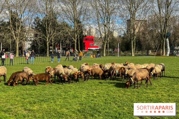 Transhumance à la Villette - 0A0601BF B46E 4CB3 8C5C 8FCED47E3559