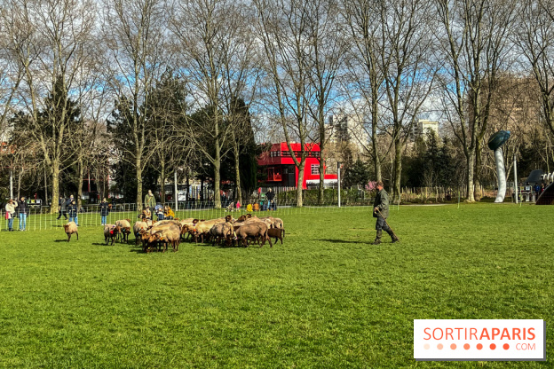 Transhumance à la Villette - 188F770F E171 4E30 91B1 9AEE8A13CE61