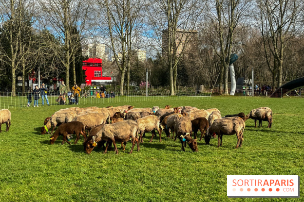 Transhumance à la Villette - E0C1AEB3 FEBD 45CF 88A2 0C8320DD6F8A