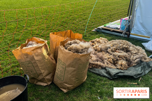 Transhumance à la Villette - A8D2E2C4 F850 4864 A12B 447F43532100