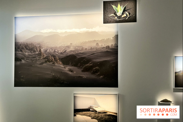 Circulation(s), le festival de la jeune photographie européenne au Centquatre - EEE2D674 7373 43B1 94CC 9B8160130950