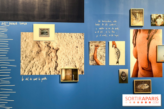 Circulation(s), le festival de la jeune photographie européenne au Centquatre - B9AD0948 22E6 4FBF B48F 025A6EA6BE21