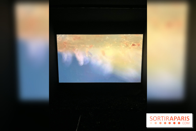 Circulation(s), le festival de la jeune photographie européenne au Centquatre - 09D6C032 A55C 45E6 82D7 5F63895997F8