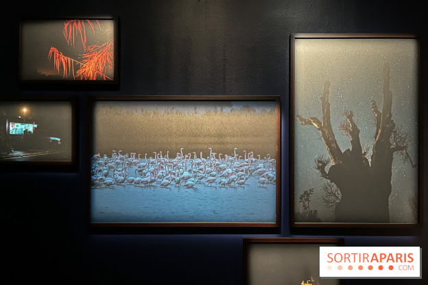 Circulation(s), le festival de la jeune photographie européenne au Centquatre - 99E98AD9 F5DE 4F1B AA07 F1FE6094D9DD