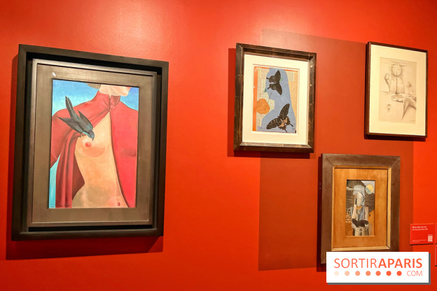 Surréalisme au féminin, l'exposition libératrice au Musée de Montmartre  - IMG 1395