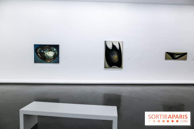 Anna-Eva Bergman, nos photos de l'expo à Paris - IMG 8979