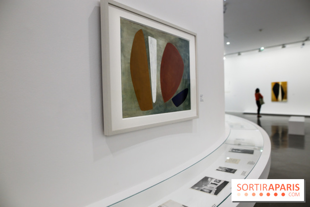 Anna-Eva Bergman, nos photos de l'expo à Paris - IMG 8983