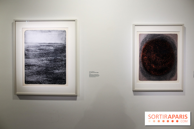 Anna-Eva Bergman, nos photos de l'expo à Paris - IMG 8997