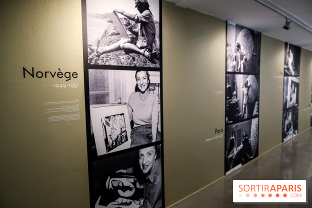 Anna-Eva Bergman, nos photos de l'expo à Paris - IMG 8999