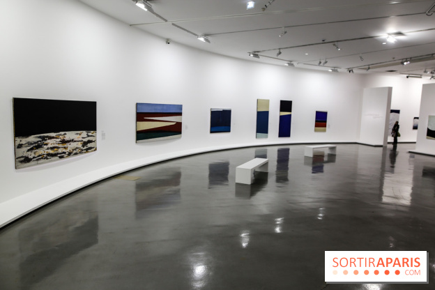 Anna-Eva Bergman, nos photos de l'expo à Paris - IMG 9003