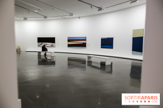 Anna-Eva Bergman, nos photos de l'expo à Paris - IMG 9021