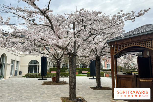 Dream Castle Hôtel, le 4**** familial à côté de Disneyland - C537F219 0AFE 440D ACF1 6CF74EC031AE