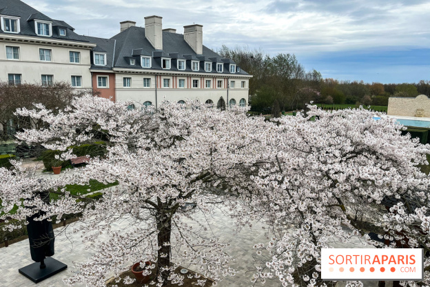 Dream Castle Hôtel, le 4**** familial à côté de Disneyland - DF1D65F8 045F 4FB6 916A B951B8CA8D26