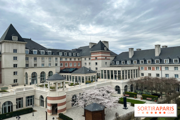 Dream Castle Hôtel, le 4**** familial à côté de Disneyland - 5346E49D 7A5D 4F5D 88B8 0BDA690743A4