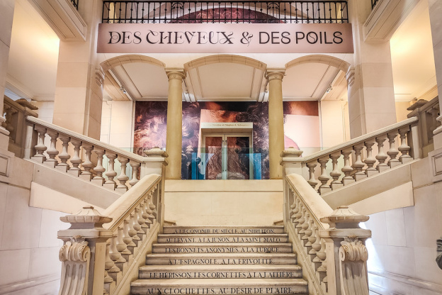 Des cheveux et des poils, l'exposition poilante du musée des Arts décoratifs - nos photos