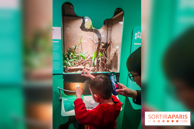 Métamorphoses, l'exposition poétique à découvrir à la Cité des Sciences et de l'Industrie  - IMG20230405144412