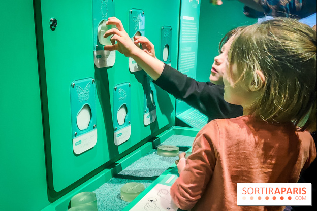 Métamorphoses, l'exposition poétique à découvrir à la Cité des Sciences et de l'Industrie  - IMG20230405144226