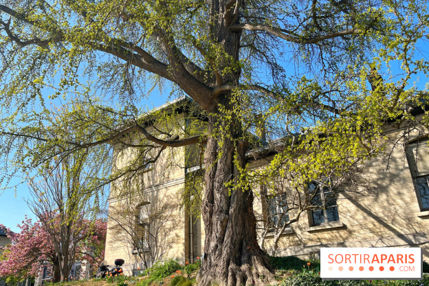 Le Jardin des Serres d'Auteuil - IMG 1492