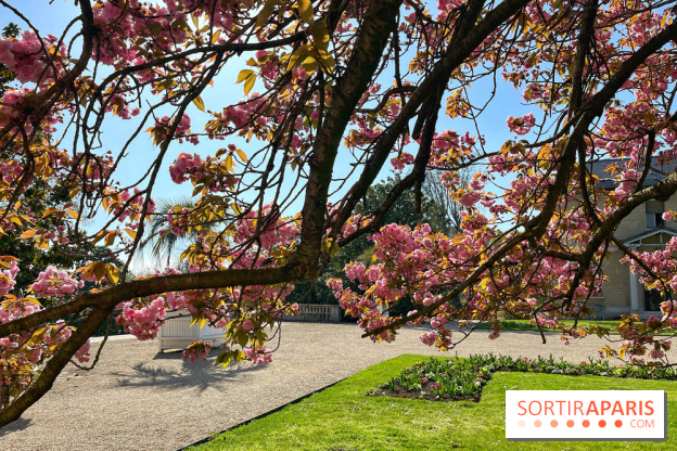 Cerisier - Jardin des Serres d'Auteuil - IMG 1497