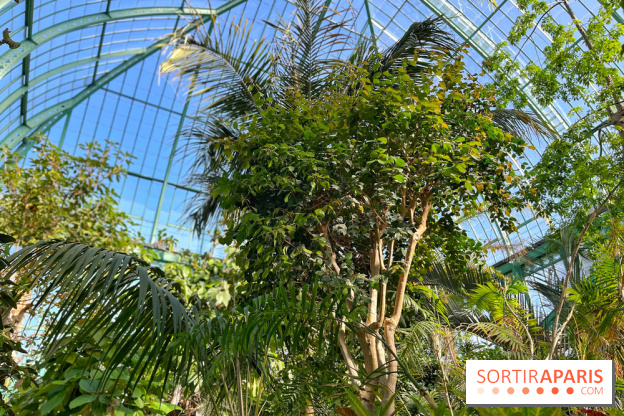 Le Jardin des Serres d'Auteuil - IMG 1550