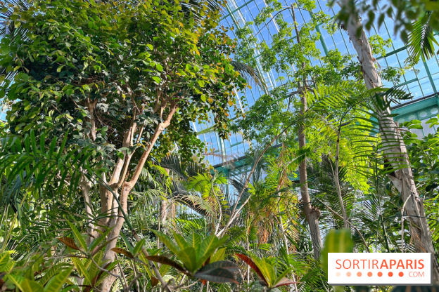 Le Jardin des Serres d'Auteuil - IMG 1552