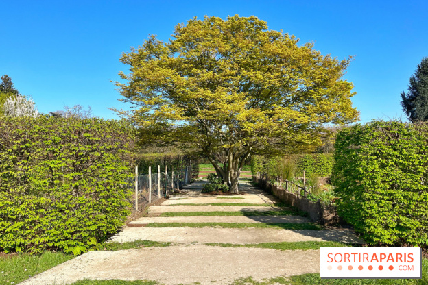 Le Jardin des Serres d'Auteuil