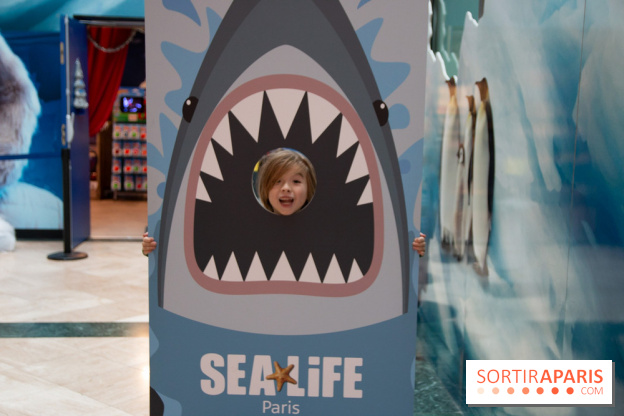 Aquarium Sea Life - IMG 8409