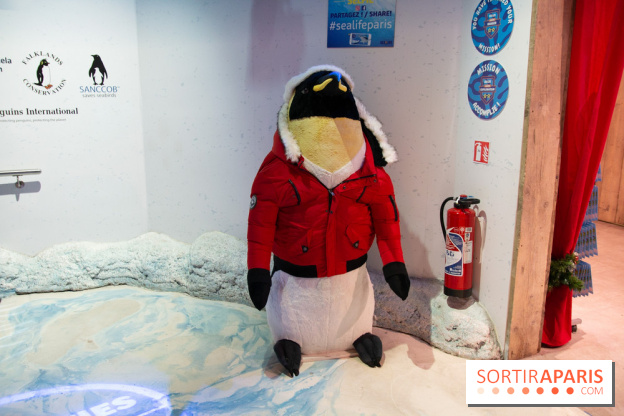 Aquarium Sea Life - IMG 8399