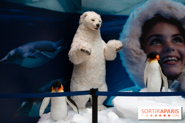 Aquarium Sea Life - IMG 8401