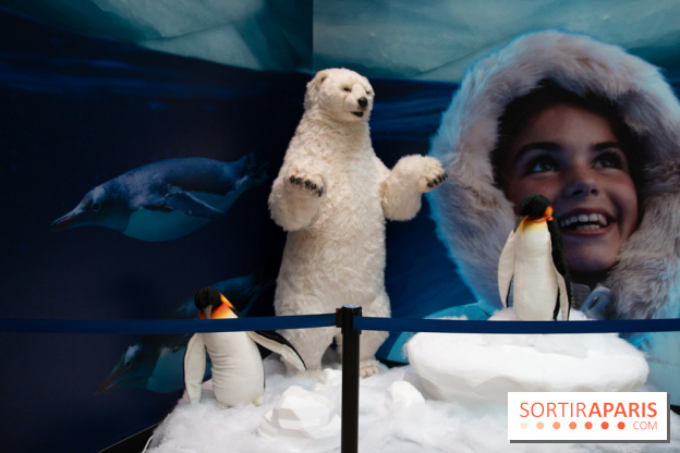 Aquarium Sea Life