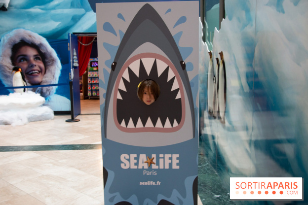 Aquarium Sea Life - IMG 8403